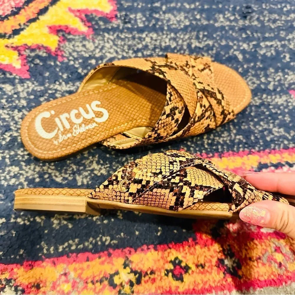 EUC Circus by Sam Edelman Burnett Snake Print Slides 7M